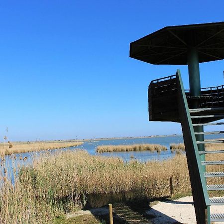 Quet - Casa Rural Con Piscina Privada En El Delta Del Ebro - Deltavacaciones Deltebre Kültér fotó