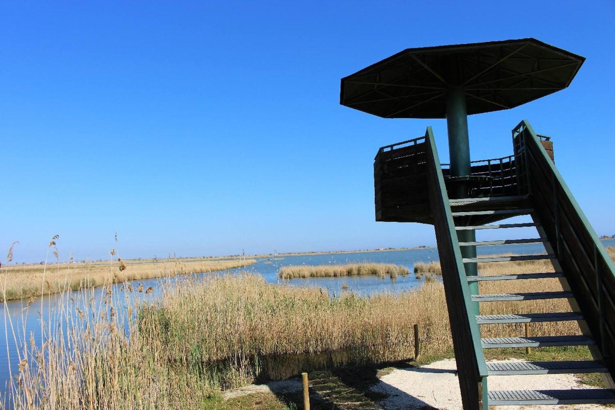 Quet - Casa Rural Con Piscina Privada En El Delta Del Ebro - Deltavacaciones Deltebre Kültér fotó